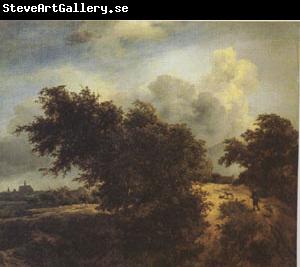 Jacob van Ruisdael The Bush (mk05)